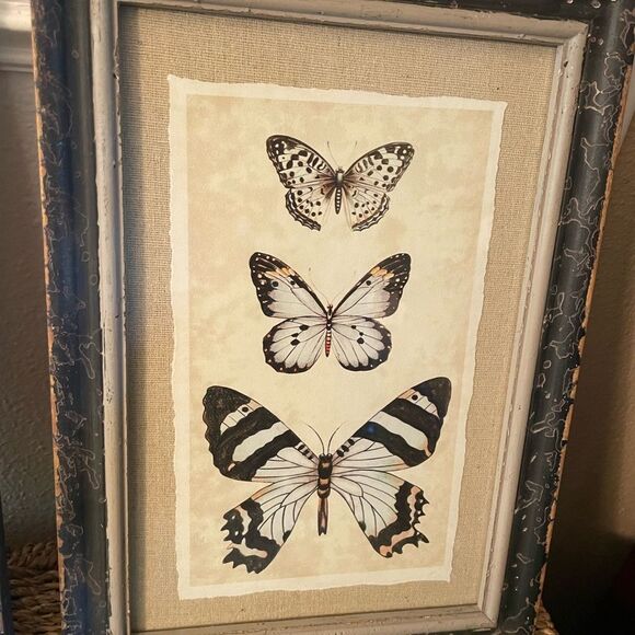 Creative Co-Op Distressed Antique Look Set of 4 Butterfly-Insect Framed Art - Picture 4 of 15